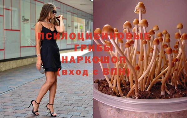 mix Арсеньев