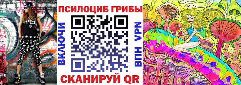 Псилоцибиновые грибы GOLDEN TEACHER  Чистополь 